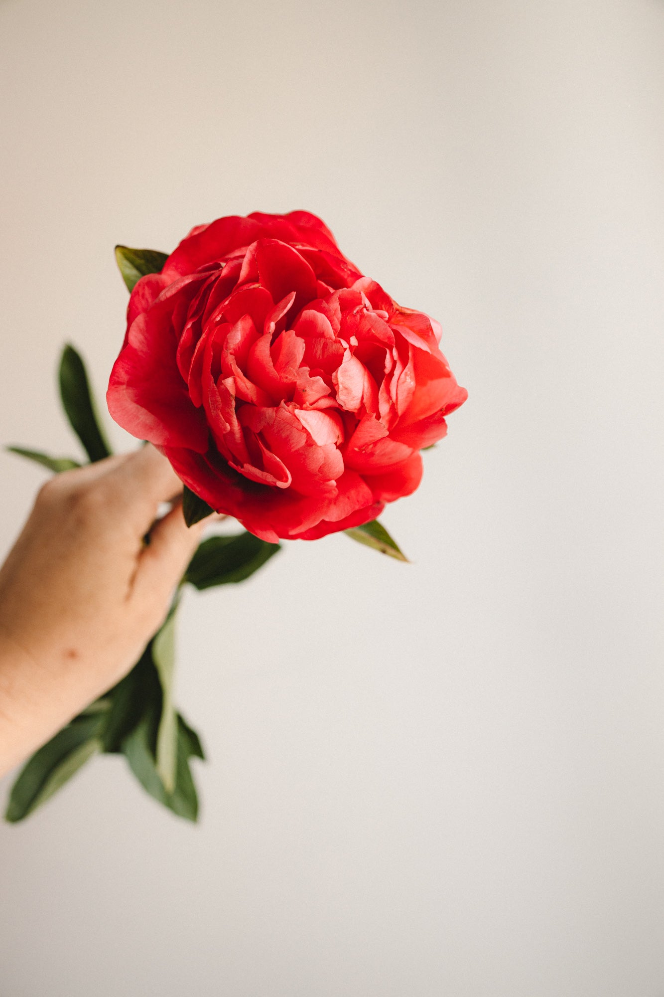 Feature bouquet