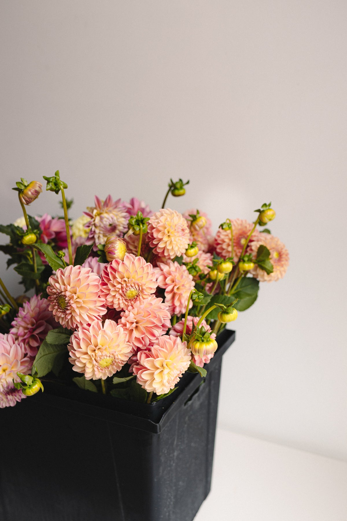 Japanese Floral Arrangement (Ikebana)