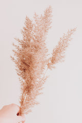 Holiday Wreath Arranging Workshop