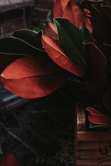 Handcrafted Winter Wreaths