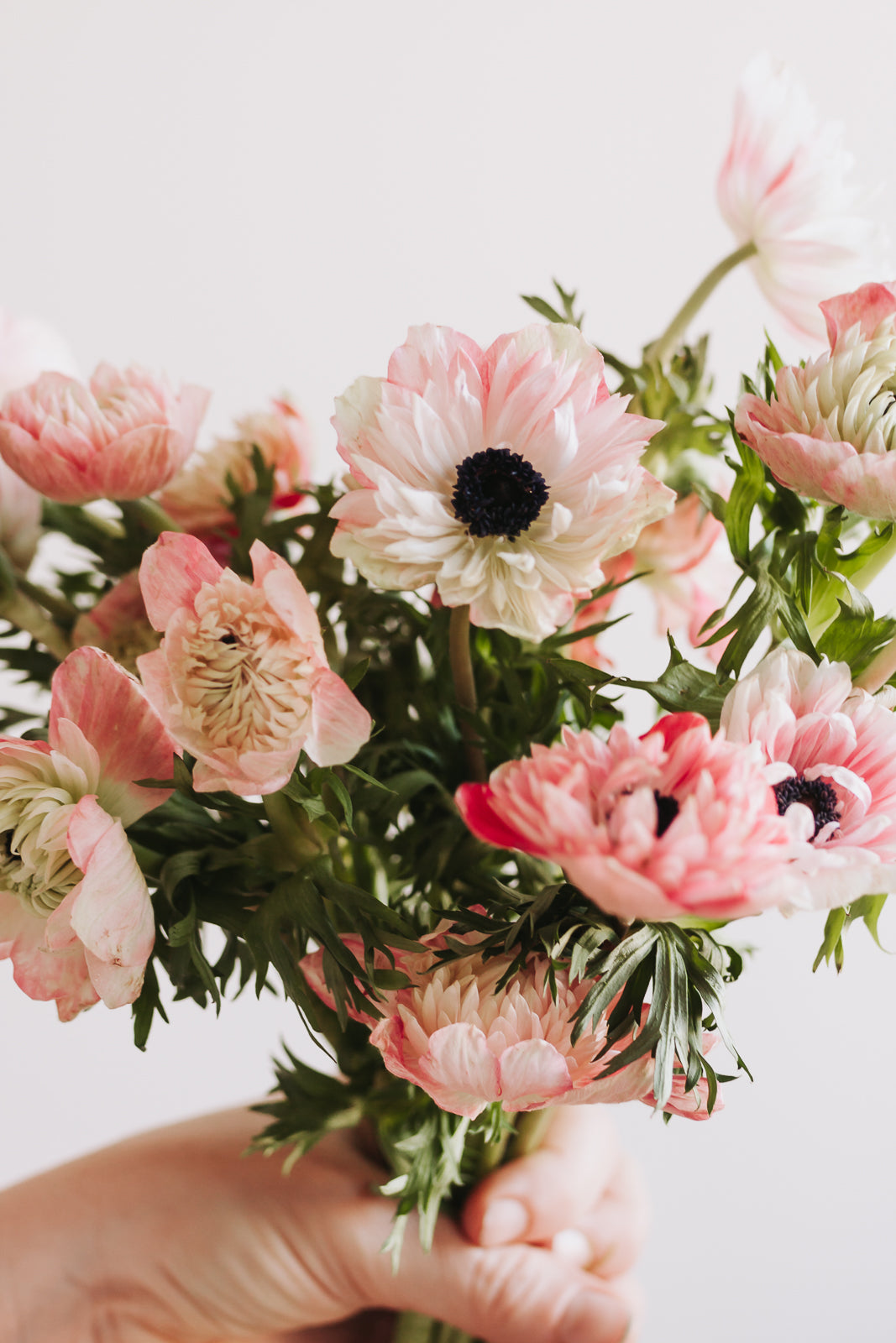 Anemones