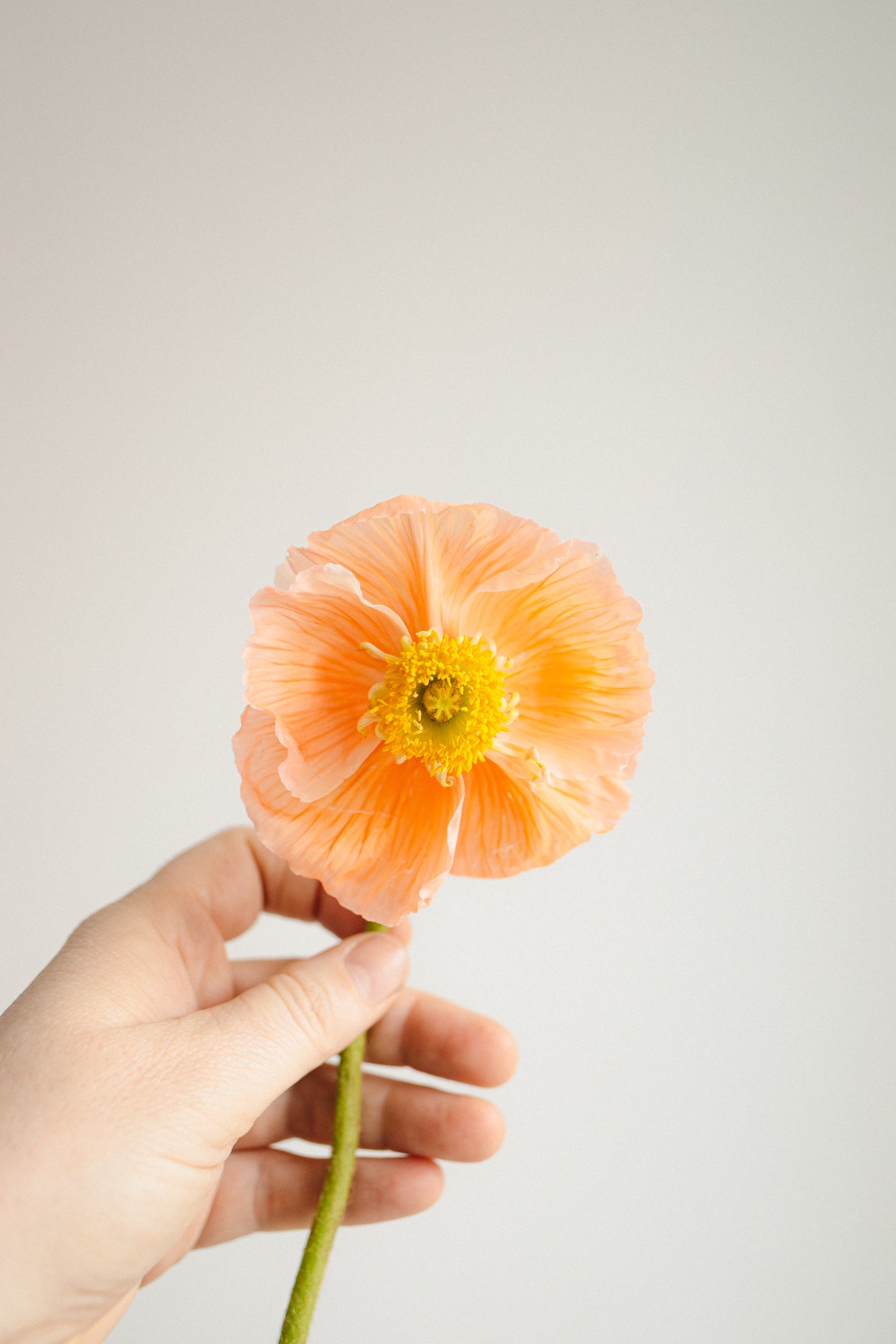 Feature bouquet