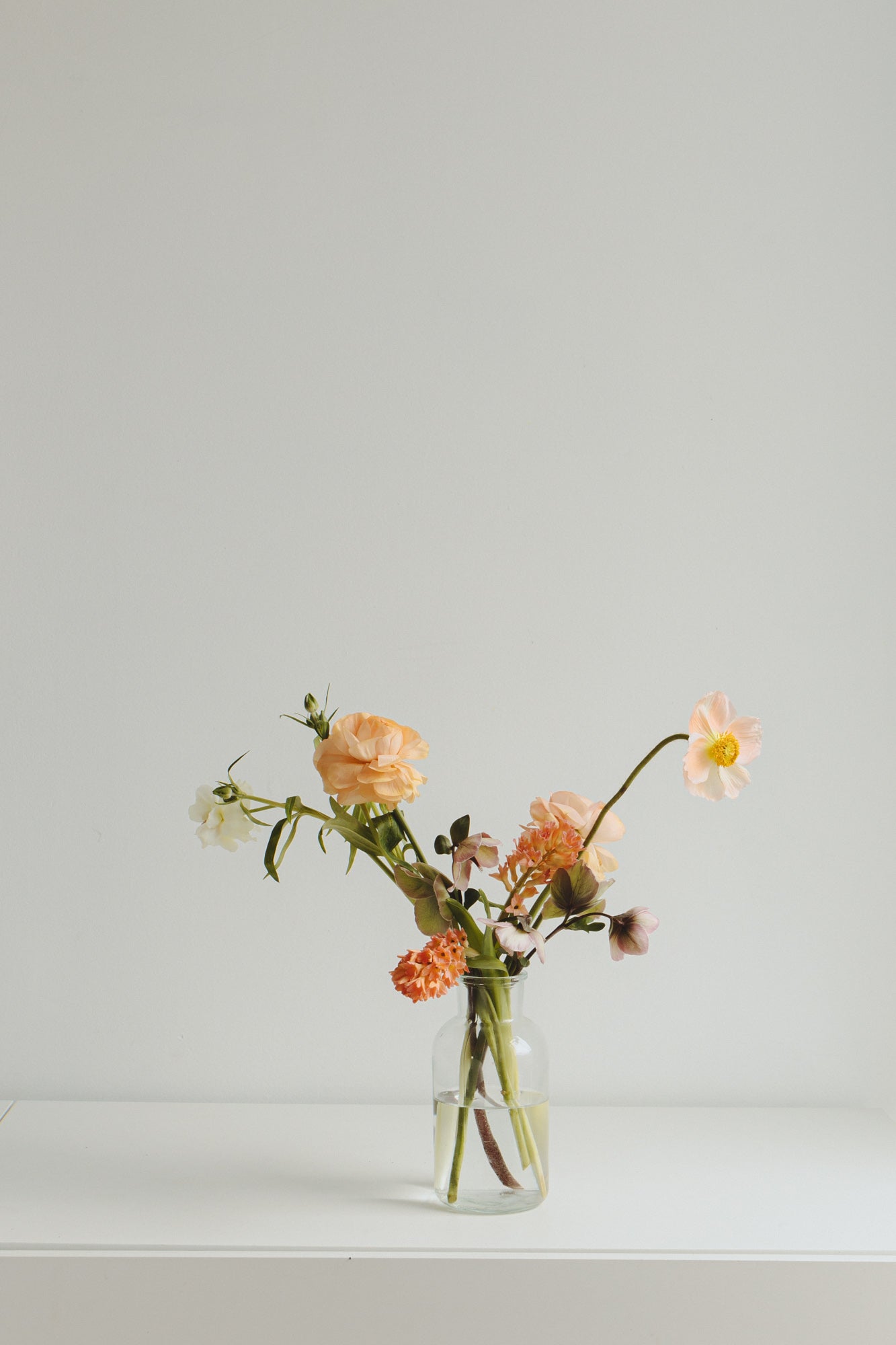 Seasonal Subscription