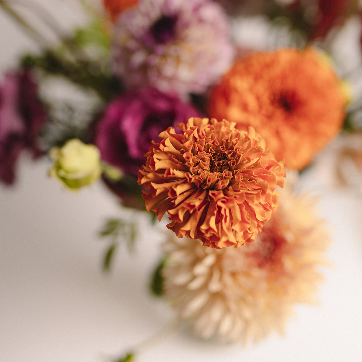 FLORALIA BOUQUET