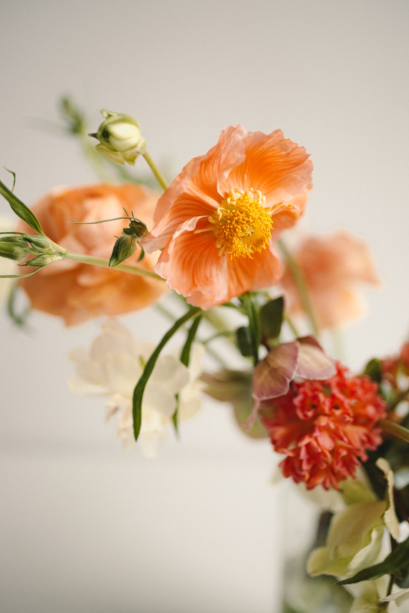 Peony
