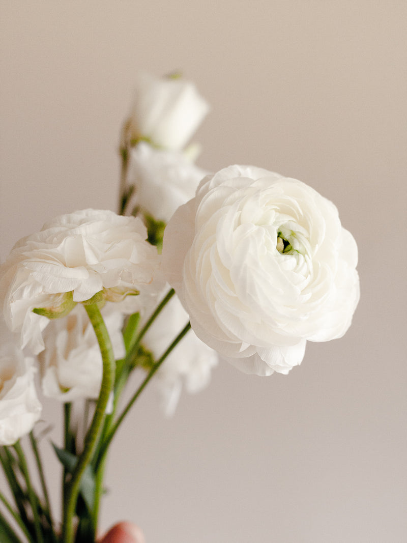 BOUQUET- TAILLE GALA